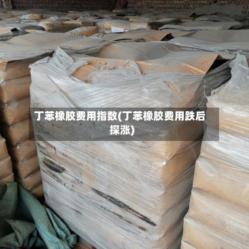 丁苯橡胶费用指数(丁苯橡胶费用跌后探涨)
