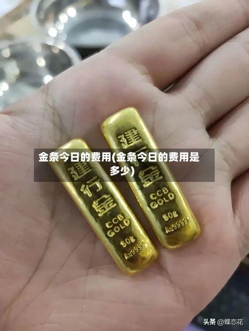 金条今日的费用(金条今日的费用是多少)-第2张图片