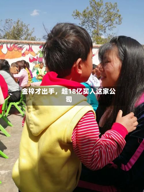 金梓才出手，超18亿买入这家公司-第3张图片
