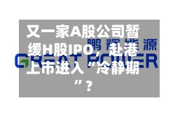 又一家A股公司暂缓H股IPO，赴港上市进入“冷静期”？-第3张图片