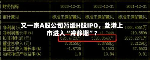 又一家A股公司暂缓H股IPO	，赴港上市进入“冷静期”？-第2张图片