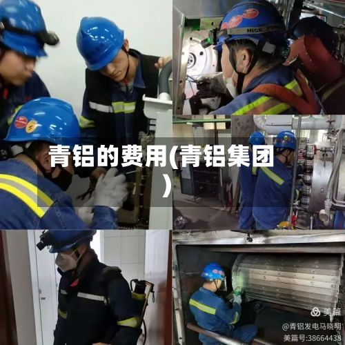 青铝的费用(青铝集团)