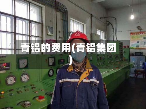 青铝的费用(青铝集团)-第2张图片