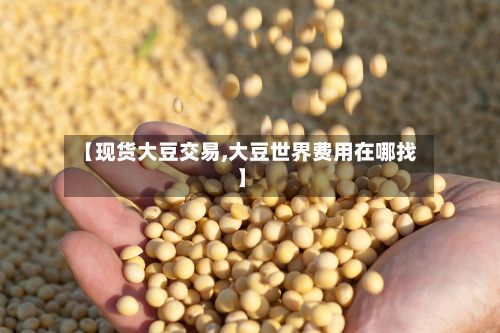 【现货大豆交易,大豆世界费用在哪找】