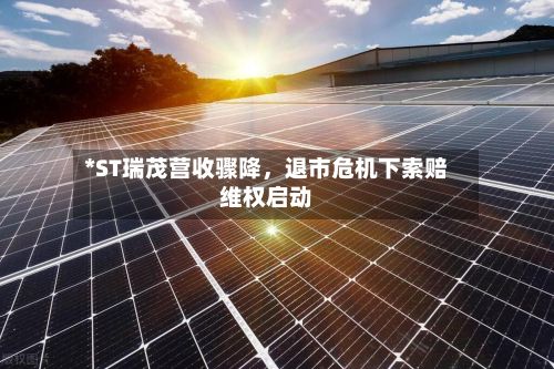 *ST瑞茂营收骤降，退市危机下索赔维权启动-第2张图片