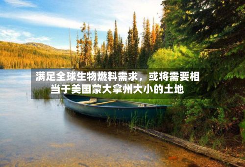 满足全球生物燃料需求，或将需要相当于美国蒙大拿州大小的土地-第2张图片
