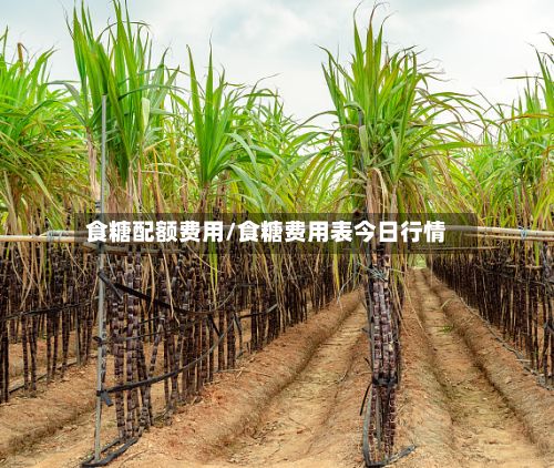 食糖配额费用/食糖费用表今日行情-第2张图片
