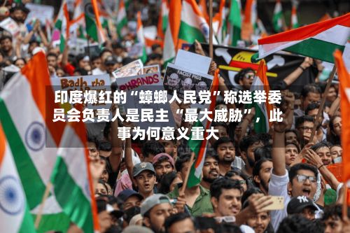 印度爆红的“蟑螂人民党”称选举委员会负责人是民主 “最大威胁	”，此事为何意义重大-第3张图片