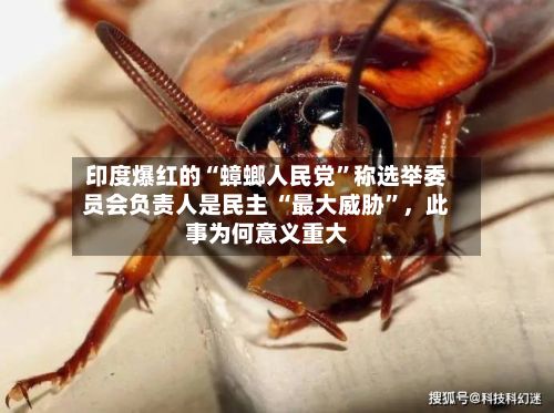印度爆红的“蟑螂人民党”称选举委员会负责人是民主 “最大威胁”，此事为何意义重大