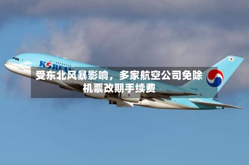 受东北风暴影响，多家航空公司免除机票改期手续费-第3张图片
