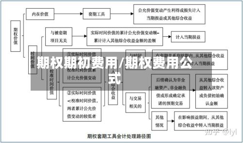 期权期初费用/期权费用公式