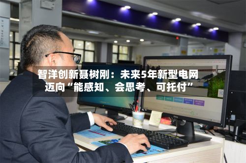 智洋创新聂树刚：未来5年新型电网迈向“能感知、会思考、可托付”-第2张图片
