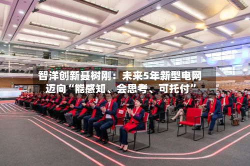 智洋创新聂树刚：未来5年新型电网迈向“能感知、会思考、可托付”-第3张图片