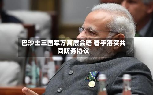 巴沙土三国军方高层会晤 着手落实共同防务协议