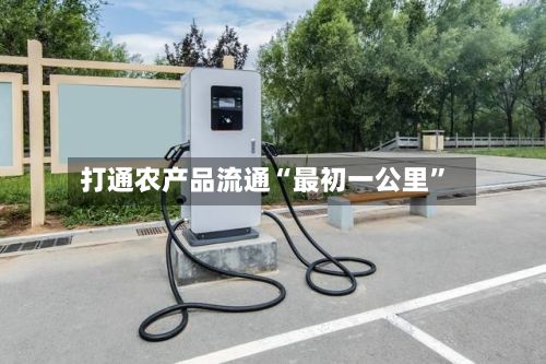 打通农产品流通“最初一公里”-第2张图片