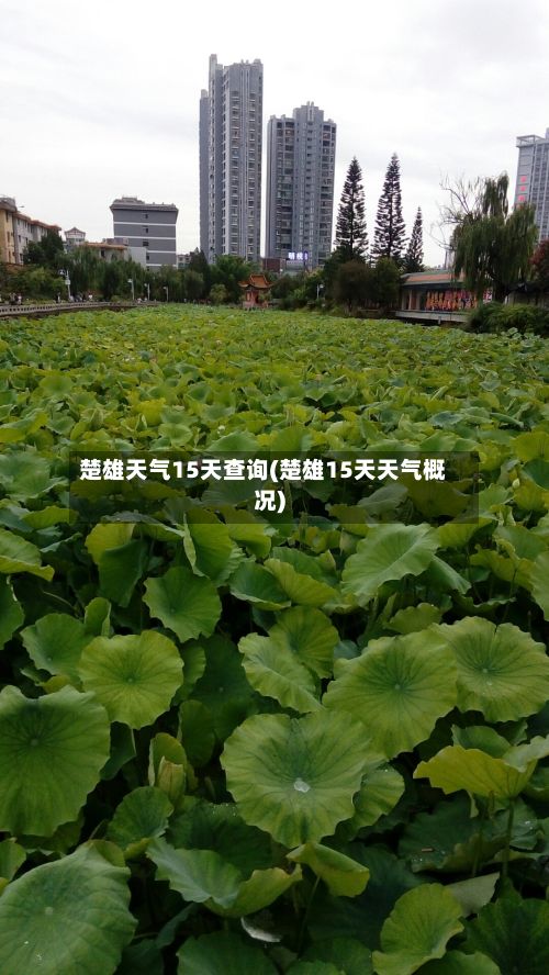 楚雄天气15天查询(楚雄15天天气概况)-第3张图片