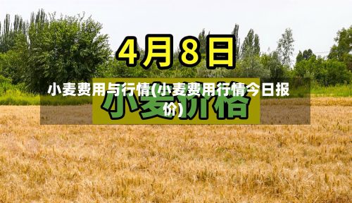 小麦费用与行情(小麦费用行情今日报价)