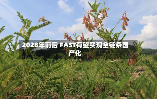 2028年前后 FAST有望实现全链条国产化-第2张图片