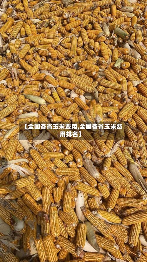 【全国各省玉米费用,全国各省玉米费用排名】