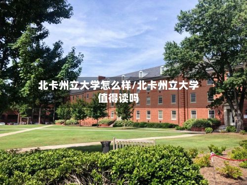 北卡州立大学怎么样/北卡州立大学值得读吗-第3张图片