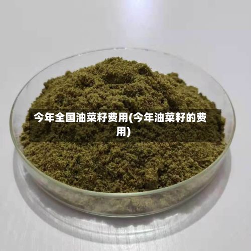 今年全国油菜籽费用(今年油菜籽的费用)