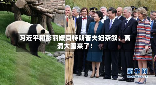习近平和彭丽媛同特朗普夫妇茶叙	，高清大图来了！-第3张图片