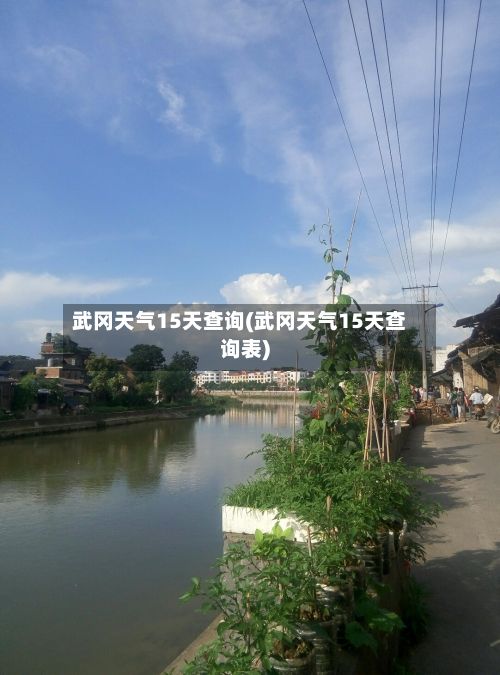 武冈天气15天查询(武冈天气15天查询表)-第2张图片
