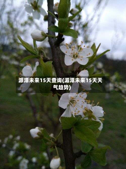 派潭未来15天查询(湄潭未来15天天气趋势)