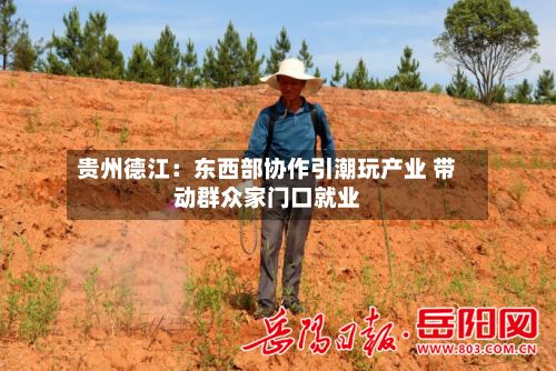 贵州德江：东西部协作引潮玩产业 带动群众家门口就业-第2张图片