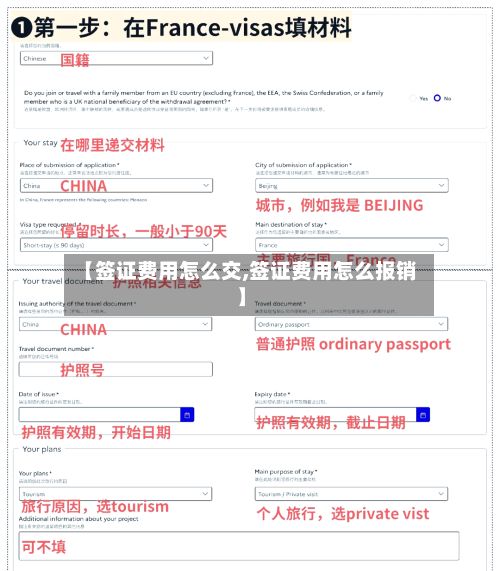 【签证费用怎么交,签证费用怎么报销】