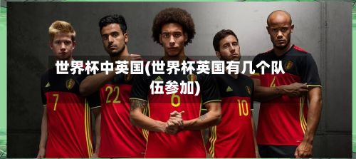 世界杯中英国(世界杯英国有几个队伍参加)