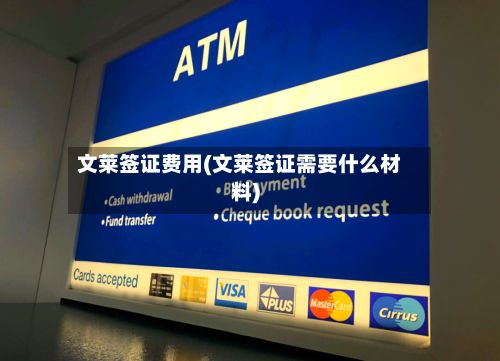 文莱签证费用(文莱签证需要什么材料)