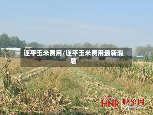 遂平玉米费用/遂平玉米费用最新消息-第2张图片