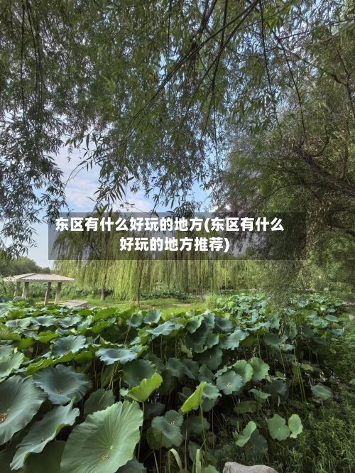 东区有什么好玩的地方(东区有什么好玩的地方推荐)-第2张图片