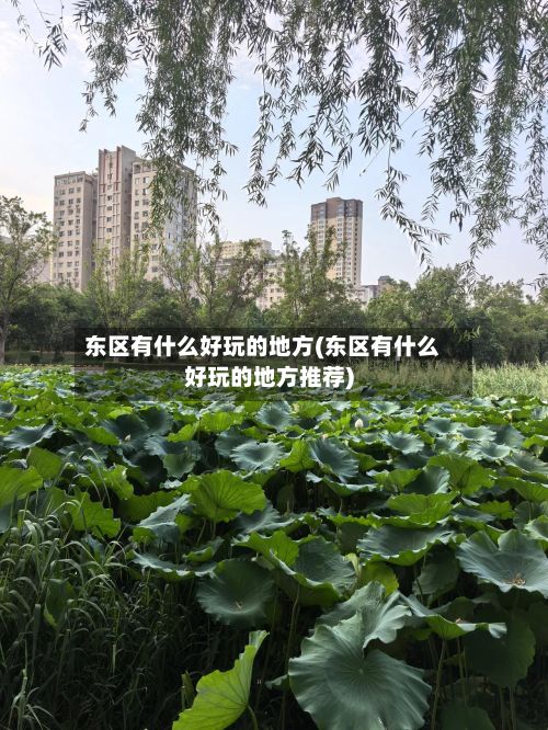 东区有什么好玩的地方(东区有什么好玩的地方推荐)