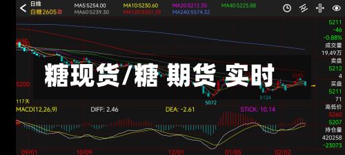 糖现货/糖 期货 实时-第2张图片