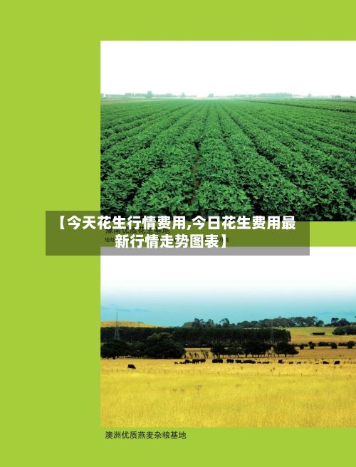 【今天花生行情费用,今日花生费用最新行情走势图表】-第3张图片
