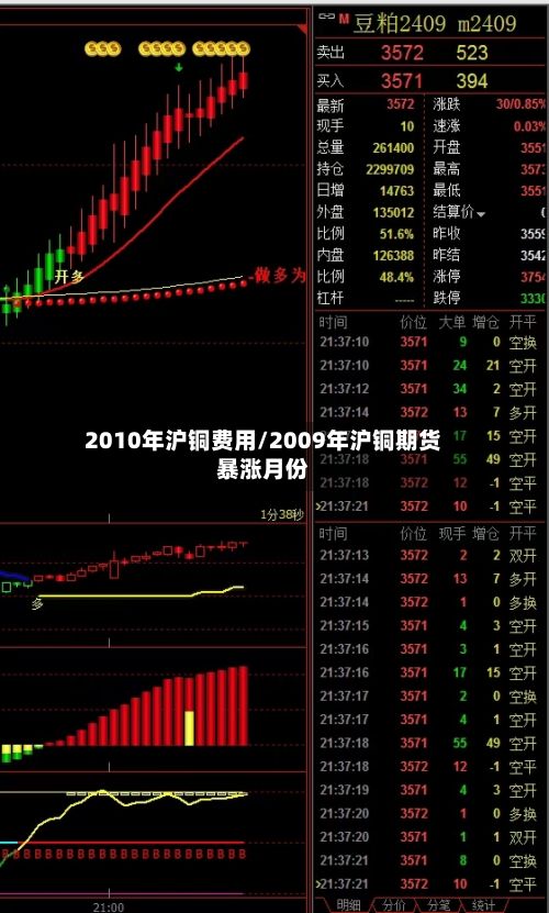 2010年沪铜费用/2009年沪铜期货暴涨月份