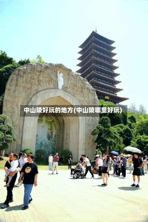 中山陵好玩的地方(中山陵哪里好玩)