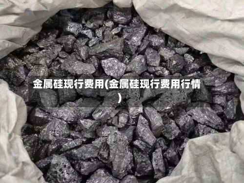 金属硅现行费用(金属硅现行费用行情)