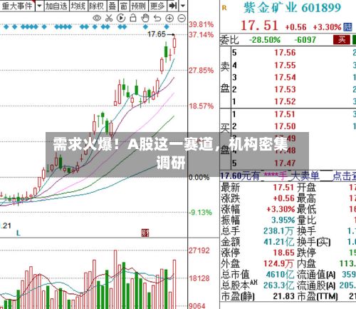 需求火爆！A股这一赛道，机构密集调研-第2张图片