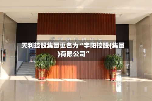 天利控股集团更名为“宇阳控股(集团)有限公司”-第1张图片