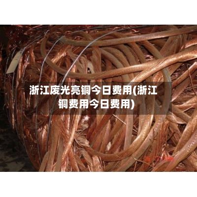 浙江废光亮铜今日费用(浙江铜费用今日费用)