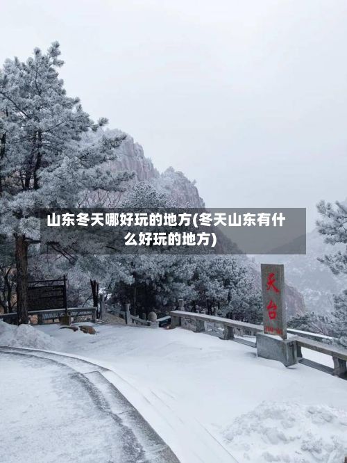 山东冬天哪好玩的地方(冬天山东有什么好玩的地方)-第3张图片