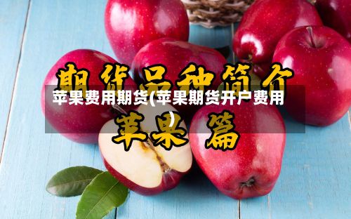 苹果费用期货(苹果期货开户费用)-第2张图片