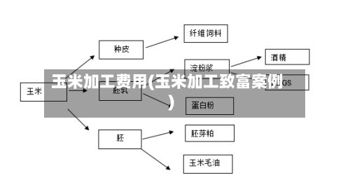 玉米加工费用(玉米加工致富案例)-第3张图片