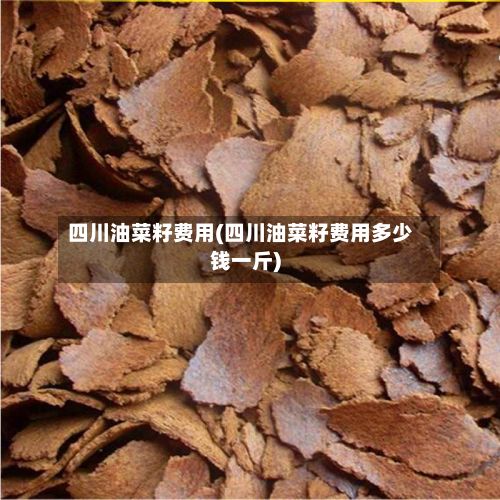 四川油菜籽费用(四川油菜籽费用多少钱一斤)-第3张图片