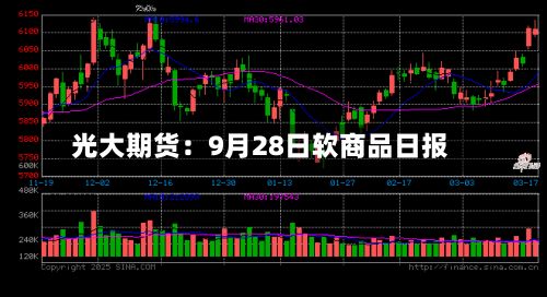 光大期货：9月28日软商品日报-第1张图片