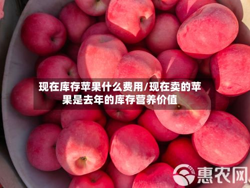 现在库存苹果什么费用/现在卖的苹果是去年的库存营养价值-第3张图片