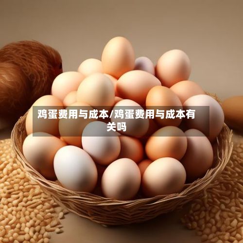 鸡蛋费用与成本/鸡蛋费用与成本有关吗